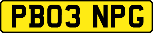 PB03NPG