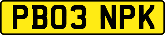 PB03NPK