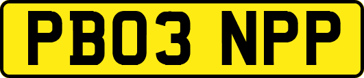 PB03NPP