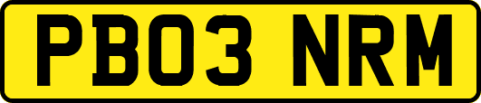 PB03NRM