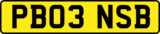 PB03NSB
