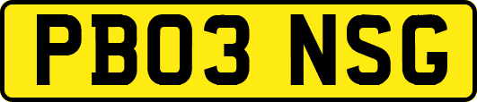 PB03NSG