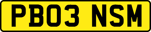PB03NSM