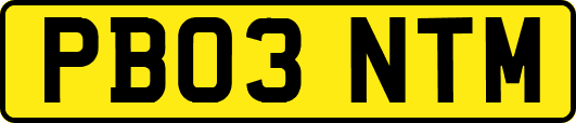 PB03NTM