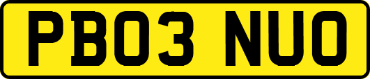 PB03NUO