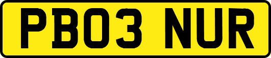 PB03NUR