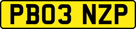 PB03NZP