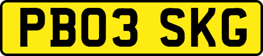 PB03SKG