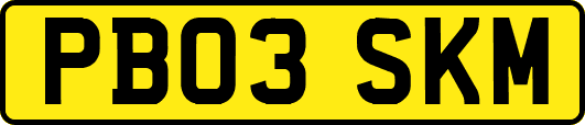 PB03SKM