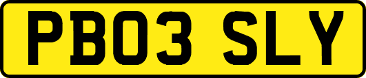 PB03SLY