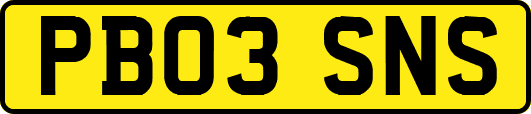 PB03SNS