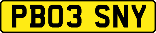 PB03SNY