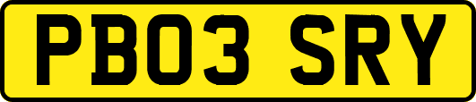 PB03SRY