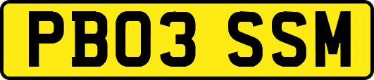 PB03SSM