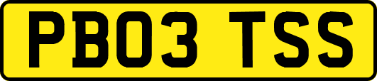 PB03TSS