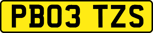 PB03TZS
