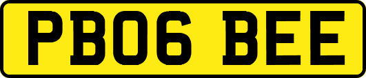 PB06BEE