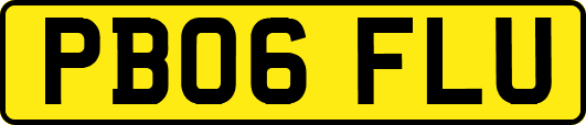 PB06FLU
