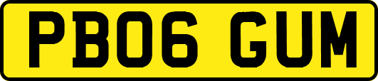 PB06GUM