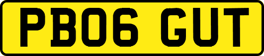 PB06GUT