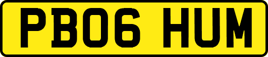 PB06HUM