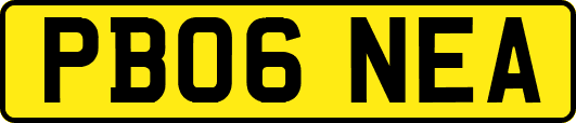 PB06NEA