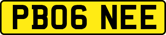 PB06NEE