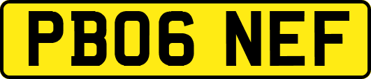 PB06NEF