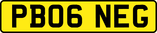 PB06NEG