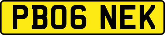 PB06NEK
