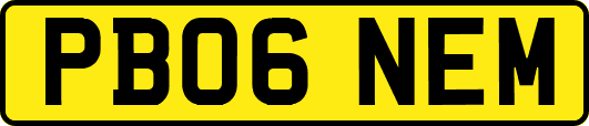 PB06NEM
