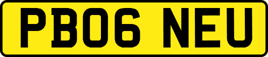 PB06NEU