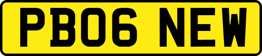 PB06NEW