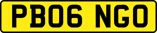 PB06NGO