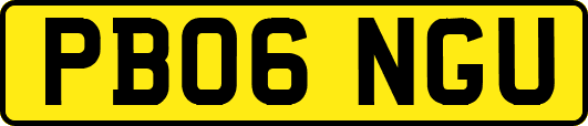 PB06NGU