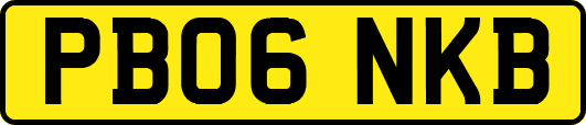 PB06NKB