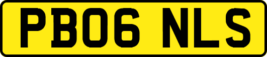PB06NLS