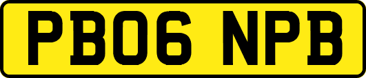 PB06NPB