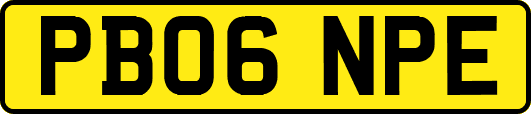 PB06NPE