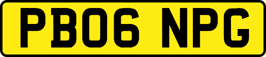 PB06NPG