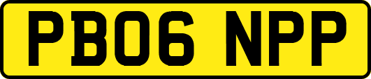 PB06NPP