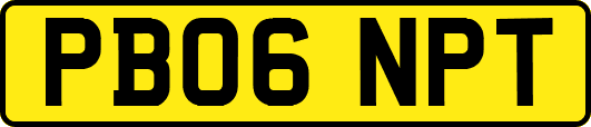 PB06NPT