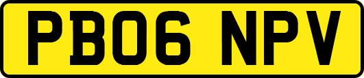 PB06NPV