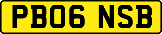 PB06NSB