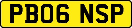 PB06NSP