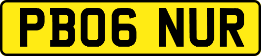 PB06NUR