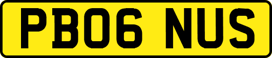PB06NUS
