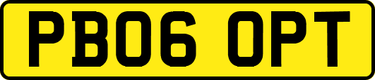PB06OPT