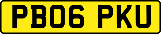 PB06PKU