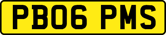 PB06PMS